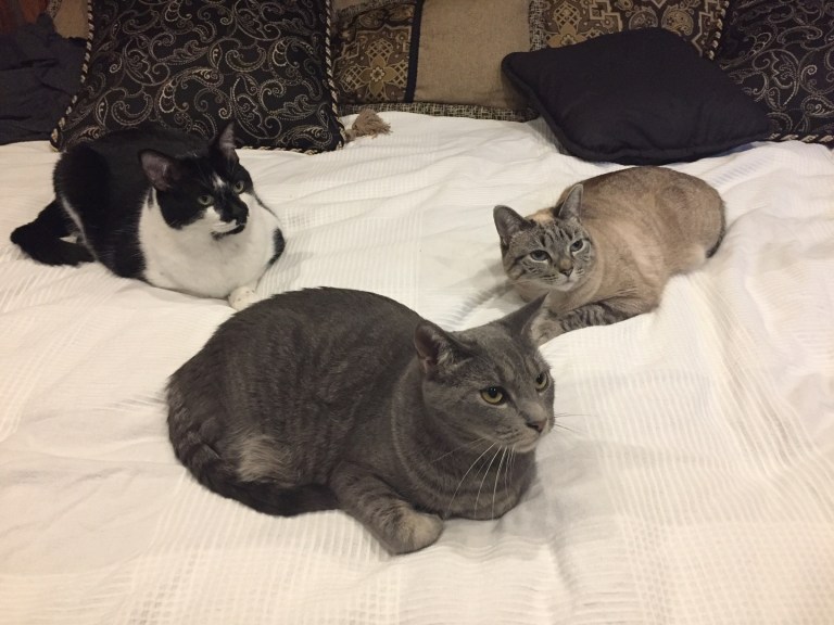 311E712A-8DBB-4EB3-A0BB-79721E598296