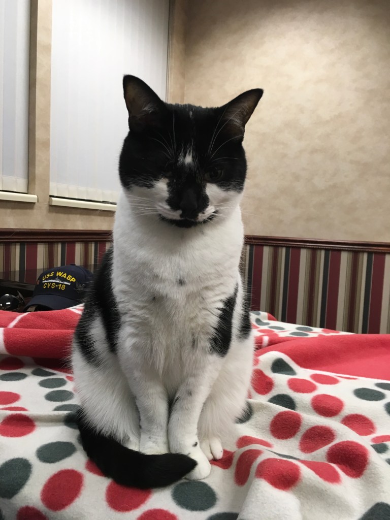 7233AE6A-5112-443D-96CD-027AAB56DC11