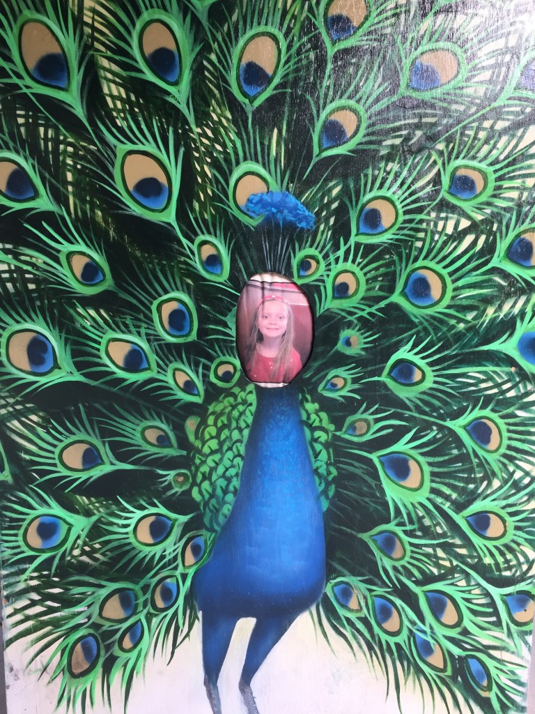 826E1785-5907-40C7-BE8E-8A8EA552EDF6