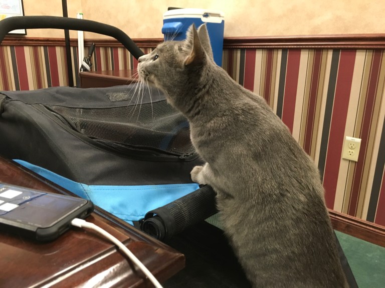 85A3FB3A-FE1F-4B24-8551-DF04DB230673