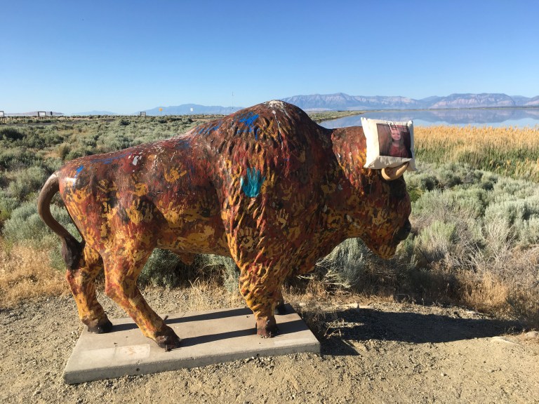 9193DCFA-8E03-4956-924C-79E85D8EAC9D