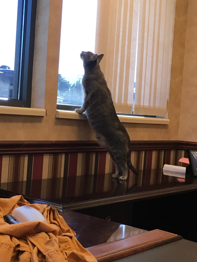 963521B0-7FD0-4DFA-8A7E-658CFC2BC80D