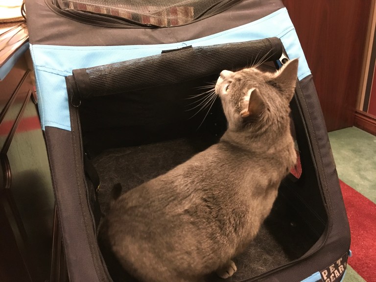 986A4DEC-5DEA-4D41-B4F8-6C78B555D8AD