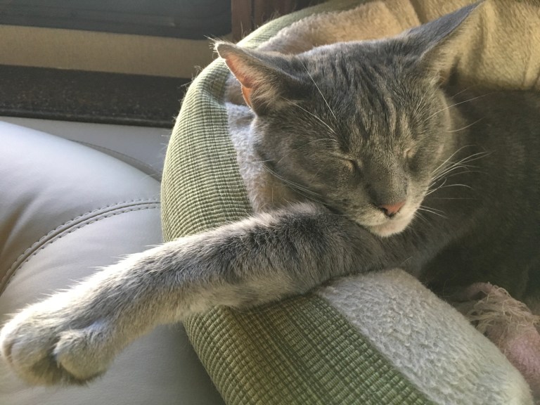 9DE40D13-B24E-4F32-8209-560D7EF06146