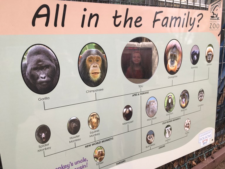 C9E4C42D-54F9-4AF4-A10C-094F5B2BDF62