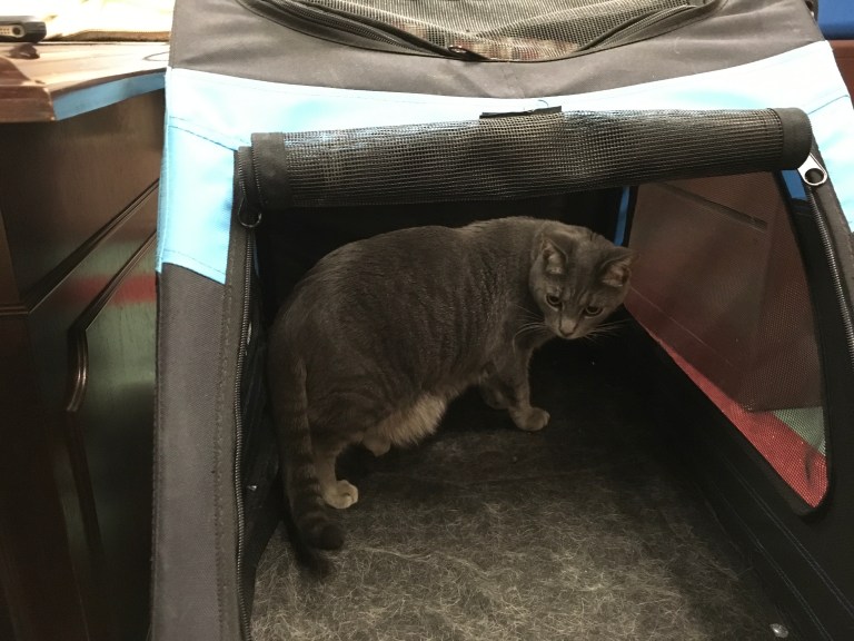 CC0BC6D4-2DF8-4C01-9D24-3B881DFA8DCB