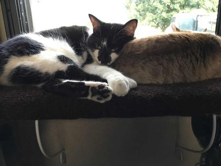 E046C9DD-BF75-4D0D-BE61-F0409DA65F46