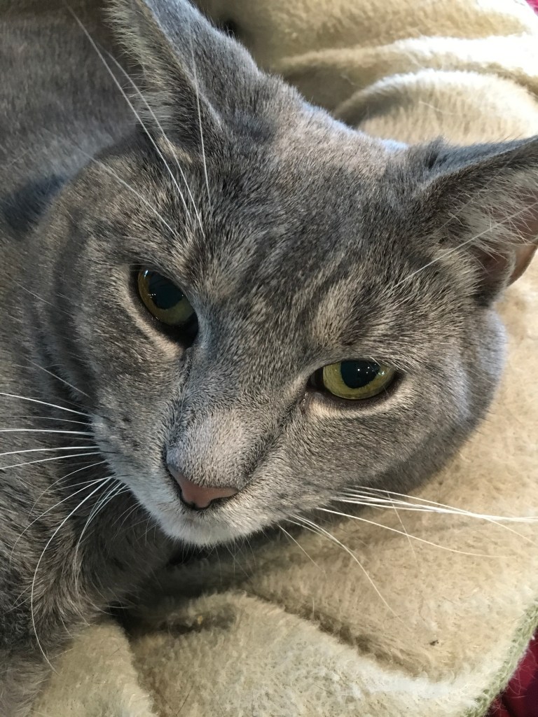 F7A48675-CF74-418D-B1AC-E5B42F8AA1DE