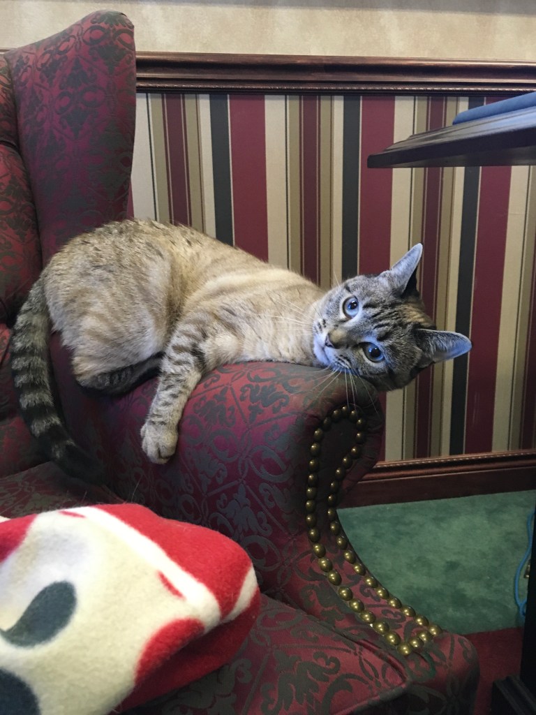 F9CABA0C-743F-4A89-8D8F-E0B7CEBEE97D