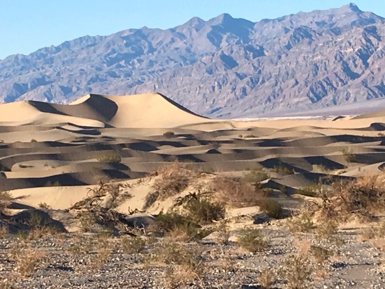 69A00993-5E60-4661-97E7-B50A6E9241DD