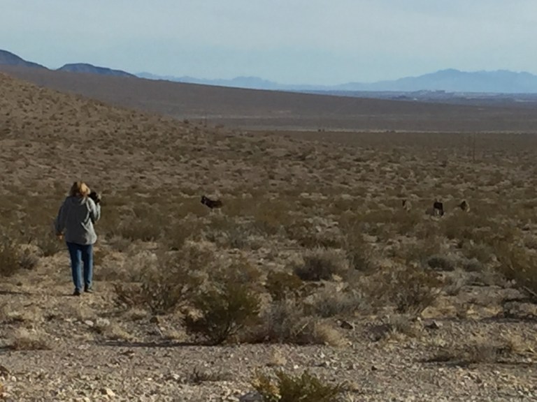 6BDF137F-B381-45A6-B3CE-FBFF1D25807C