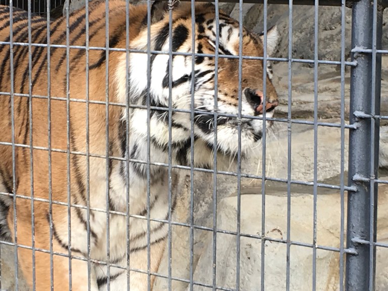 7BD2DF94-8E11-41DF-BEDE-E5C8002E73E0