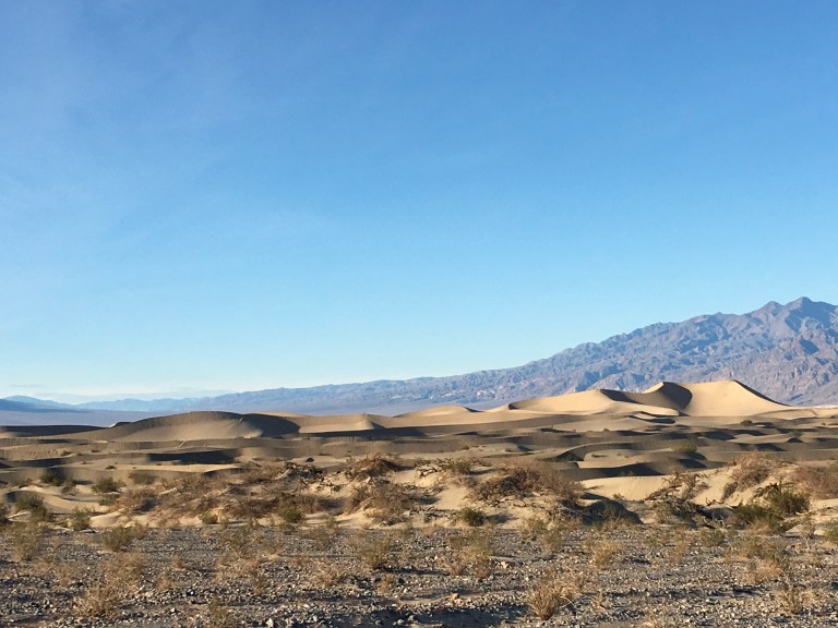 C029E379-9EE1-40DF-8DED-93D7DB35C45D