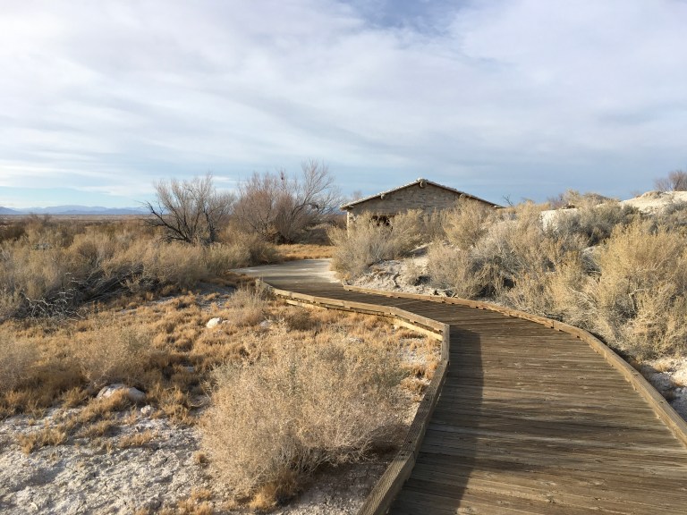 D88B3099-2AEA-4144-89E3-DFA2B4F481A1