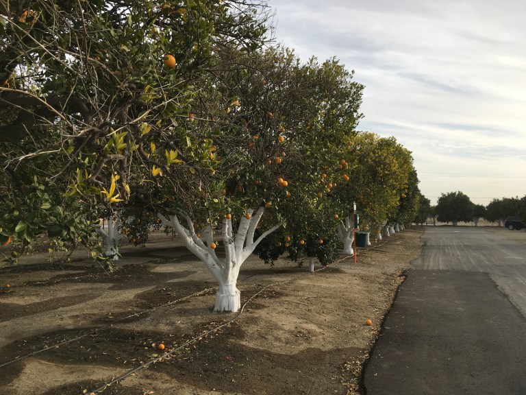 DC14F4E0-3AE4-44D0-881E-64906947D157