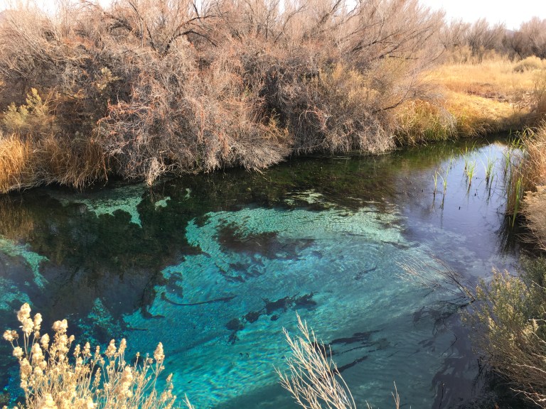 E174EA1B-E980-4590-83E9-9E708E246FE7