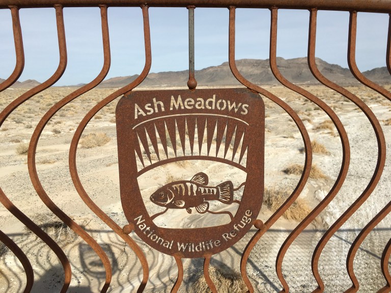 E9CD5D88-9857-427A-A8F7-DDE0DA0C6897