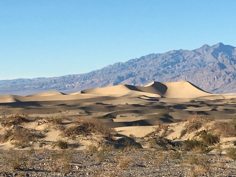 EE611AF3-34FE-490D-BE4A-B87F74B7D1A9