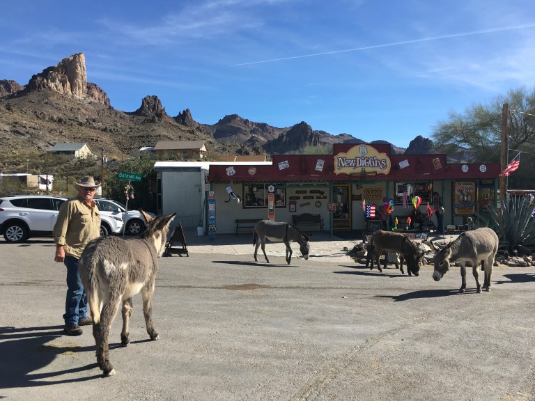 01AFE4F8-B052-4E15-B053-AA6AB2A0BBAB