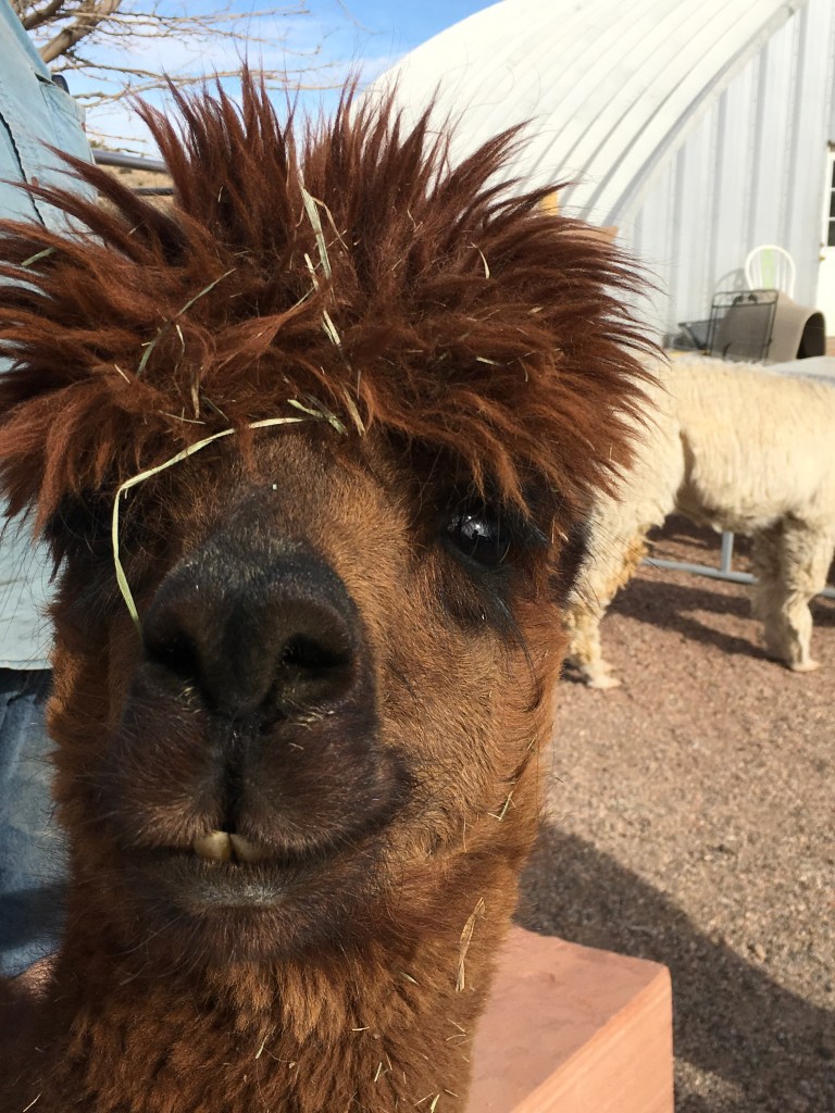 569FD082-CB4E-4075-952D-C7A8B0ABFA5E