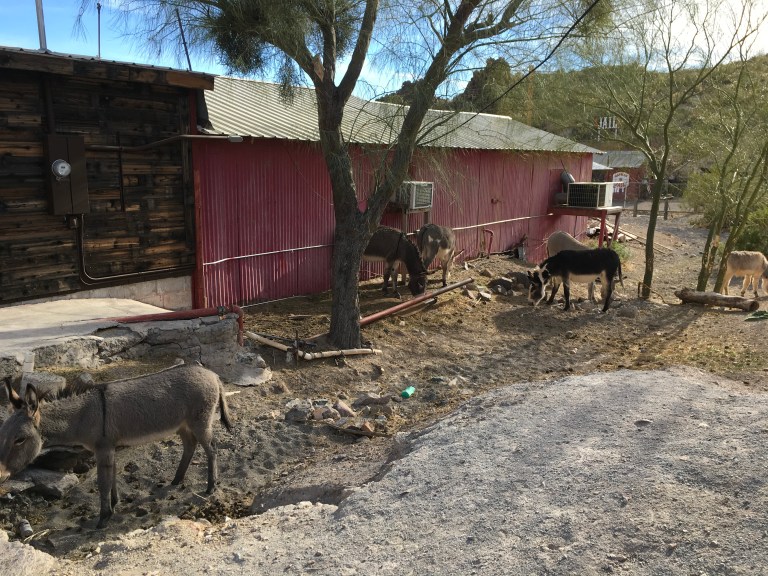 5B4E54EB-F8B9-434A-84ED-4B2E0755A2B3