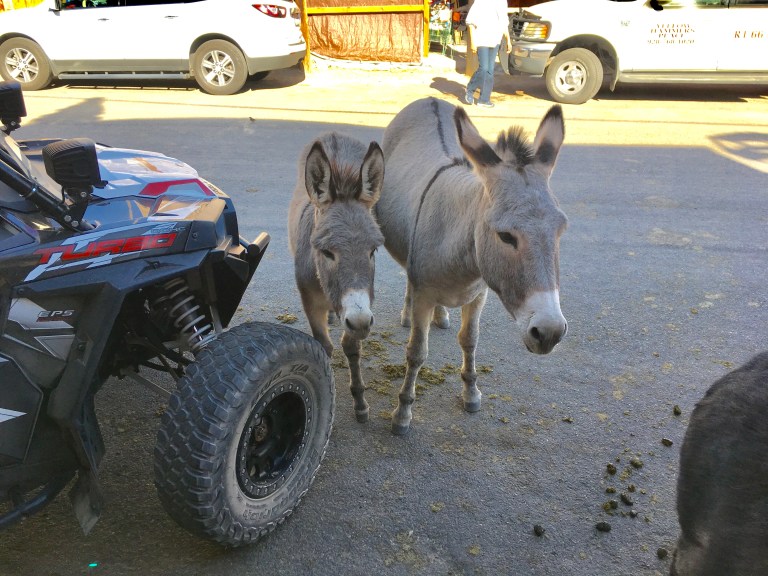 865D4FC3-2187-49AD-85CC-A0F4B308CECE