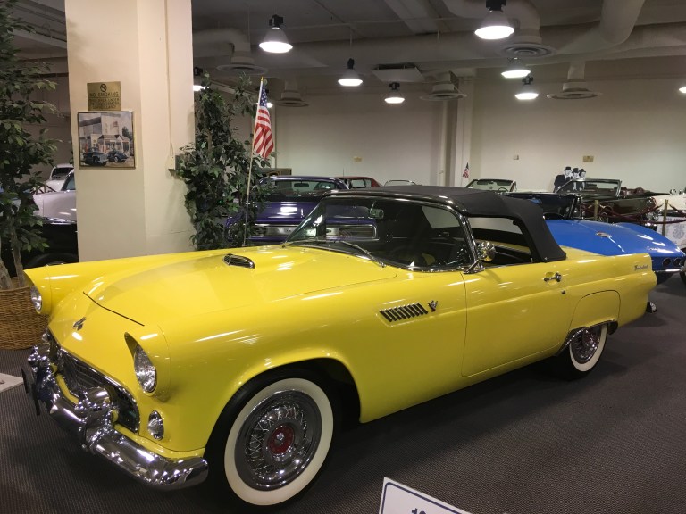 8D9FA9B9-1EEE-4C13-AF10-CF6419518898