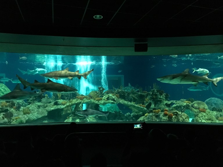 124B90B5-DE81-4F8D-B1FC-FDAF6BD4BA87