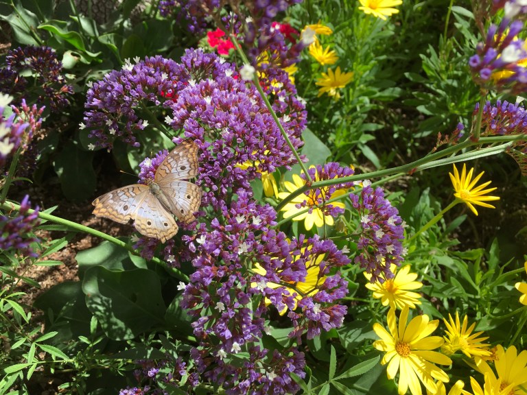 259C38A8-CC1E-4717-AB42-A95D61BEEA89