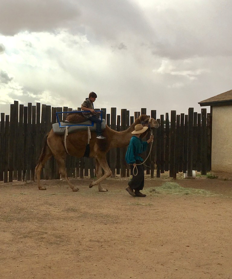 2C62B552-7801-48A9-A5FA-AC9A2032AE27