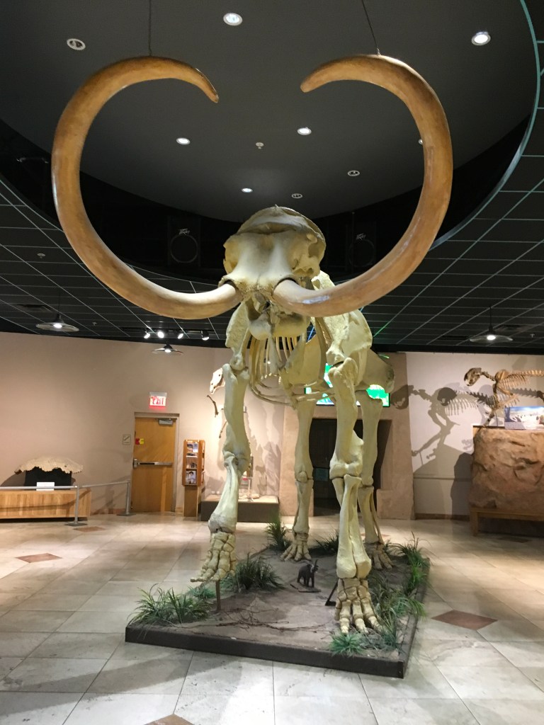 4A77A86A-130D-44B2-8F65-063B7E8592B6