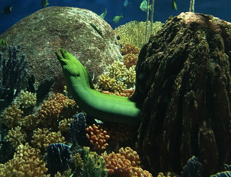 59263215-77D9-48F6-BFAE-F8649263E4C4