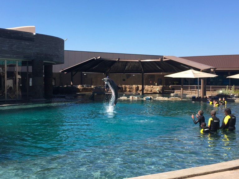 59671F58-0EE2-4A6D-98B5-98ABECD09914