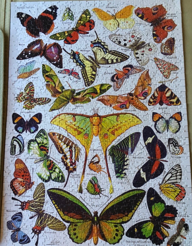 5E8F44C9-31B7-4C59-9A4B-EF570BDD2AFB