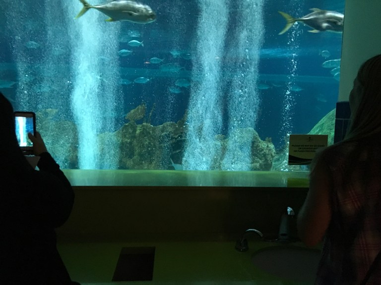 6A1AE06F-F299-4E23-BD62-28783BA58454