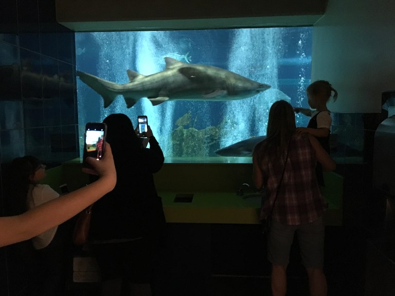 6DE4940D-35D9-4050-BA23-8B526010549C