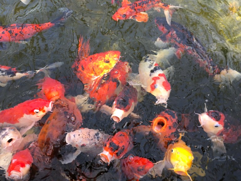 800E507C-E9AF-4087-A427-83663C82CB07