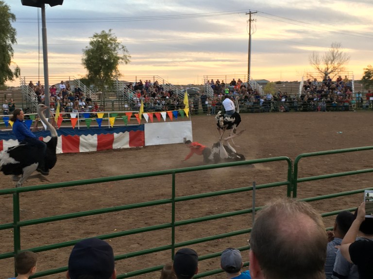 9DA9A45E-E692-4C74-B434-63B7316803BD