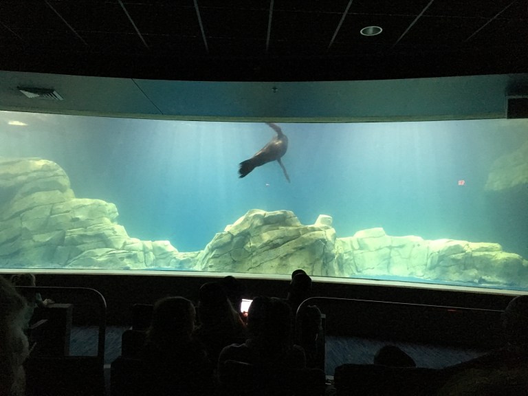 9F2BCE4B-DBA2-4283-BC50-1D03E2AD4D80