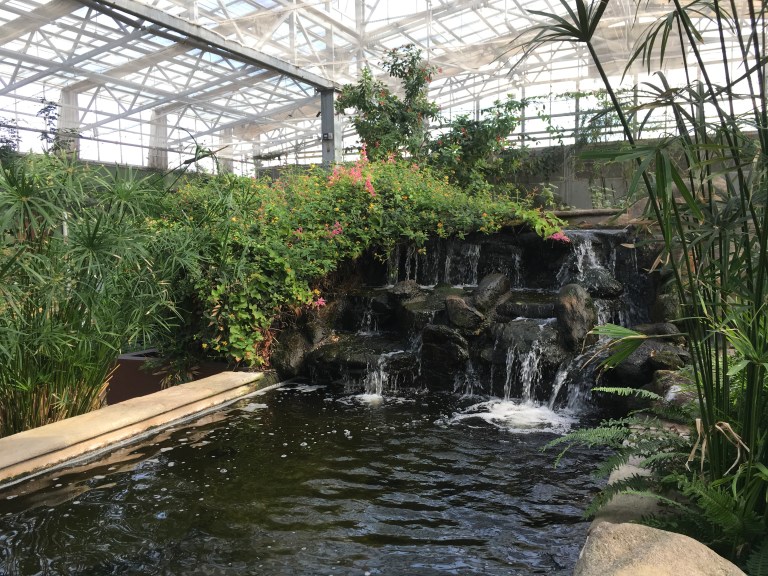 A12DAED2-E806-4DDB-A421-41CA67DFC371