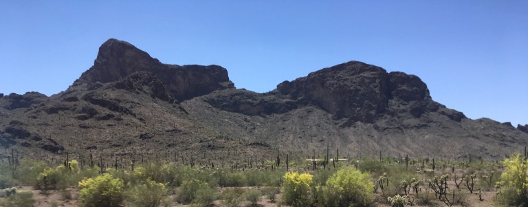 B4541B67-12F7-44B3-9515-9FE6A7B0D1AE