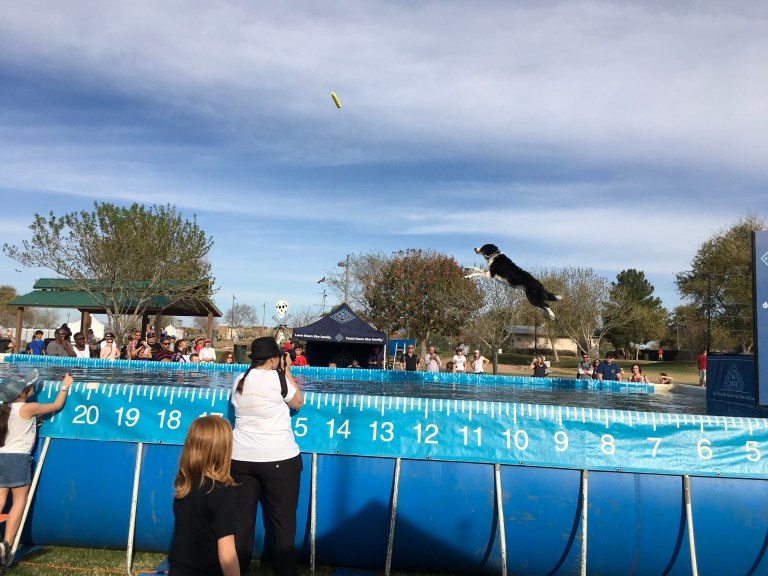 B54E58BC-365E-43C2-A1B2-8DEF7A6332F5