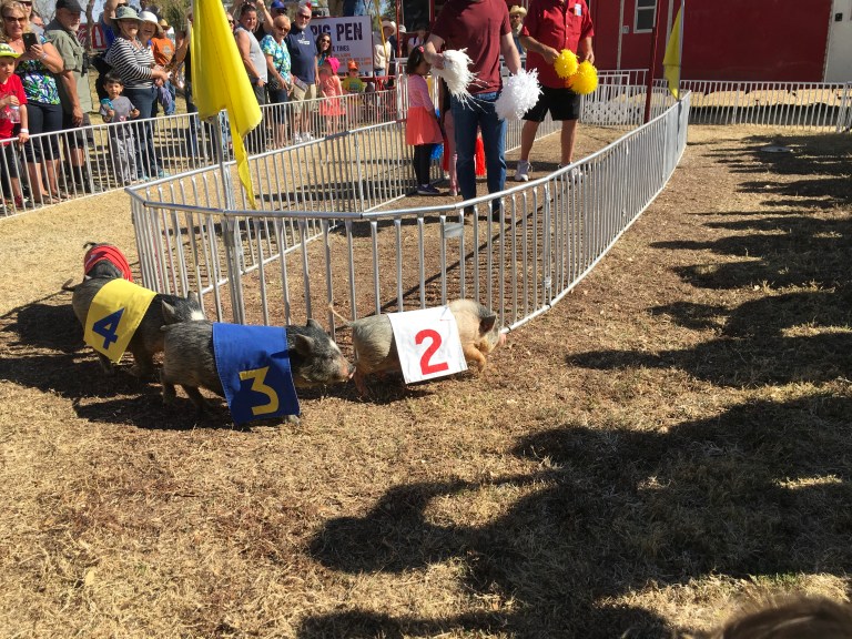 C3510CF9-9D85-4592-9098-3C6B1A9D5ADD