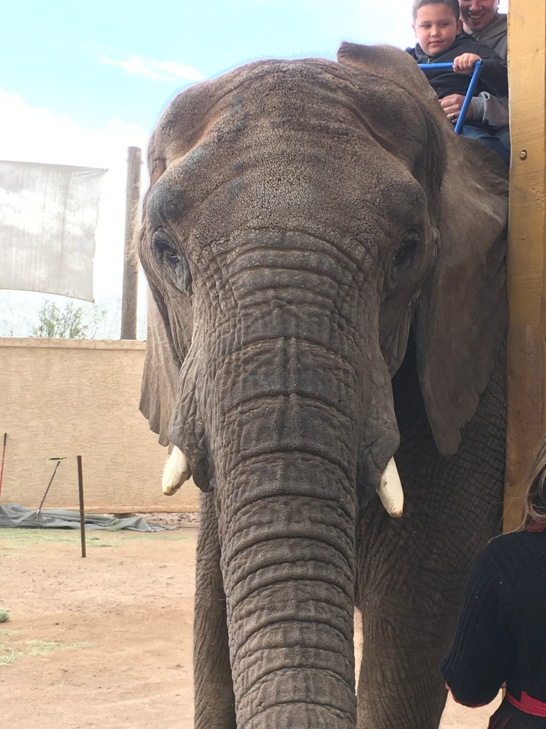 C767F345-157A-44AE-9ED5-B975F2F32B81