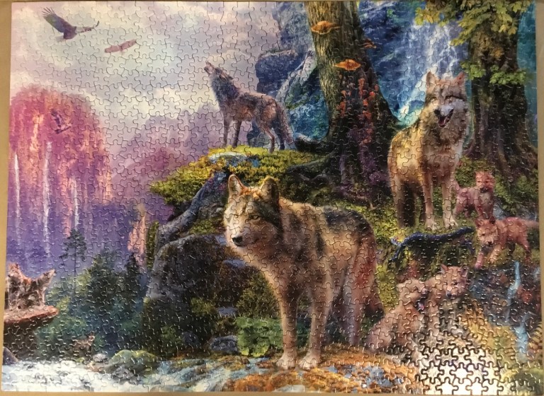 D10BBDC5-C0AB-4315-BD00-61A0DF53A63E