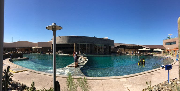 DB594F4C-31C2-4748-8016-D6C9E2AF9C11