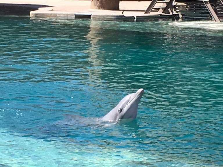 DEB533C5-EE38-4AED-BD94-C77EB78EEEC7