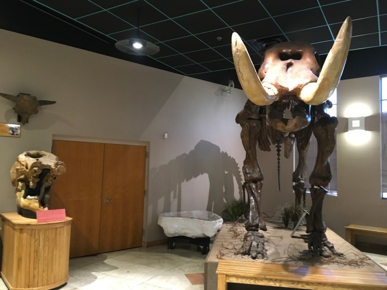 E31B7ED1-7284-4F2C-9C41-F86019A532C4