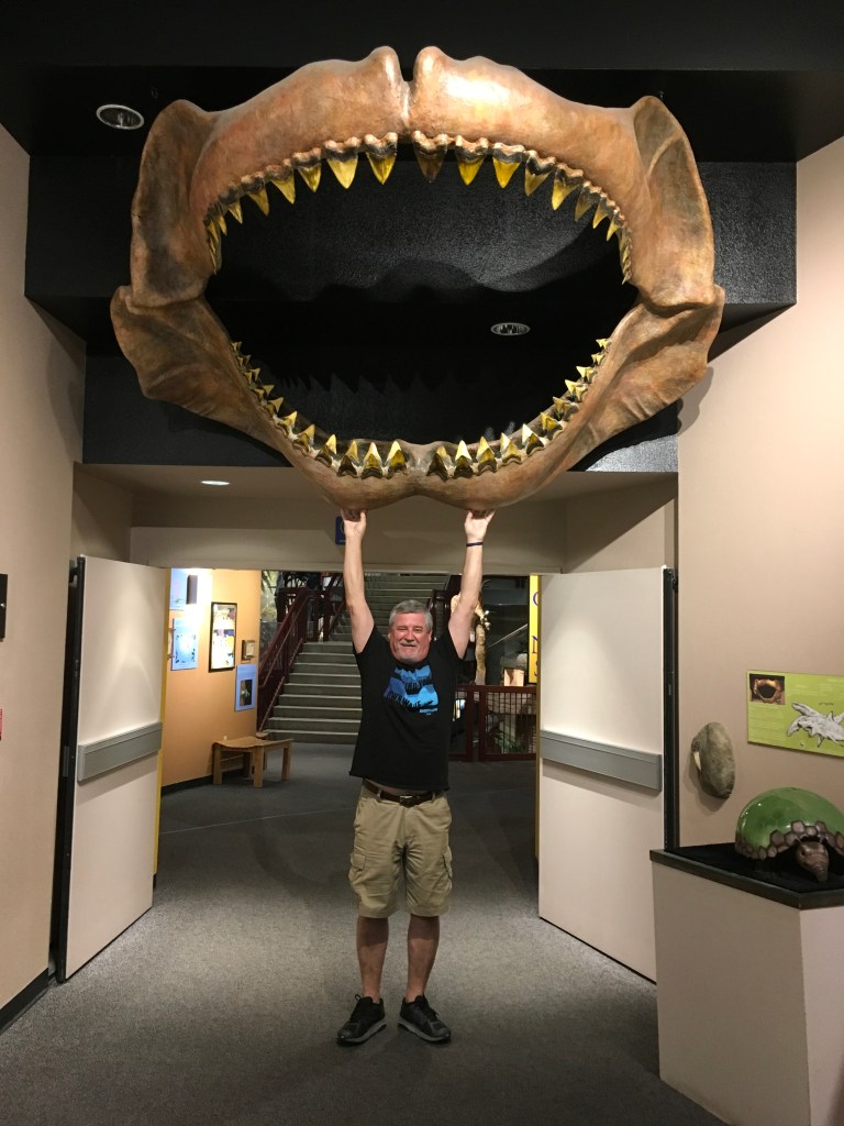 E8C72064-BE6D-42E4-B10A-07C0FFEE700F