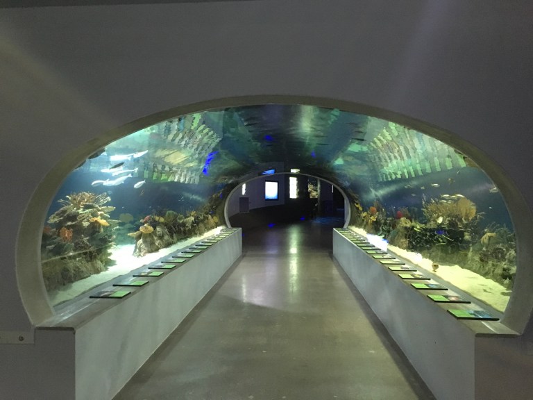 EC2BBF88-12E6-4851-84AC-F25399867CB5